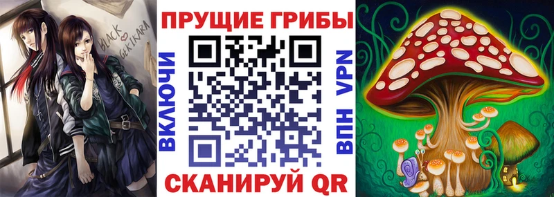 shop официальный сайт  Нефтекумск  Галлюциногенные грибы GOLDEN TEACHER  продажа наркотиков 